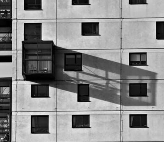 Amazing Shadow Photography for Beginners