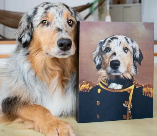 Preserving the Beauty of Your Pet with a Timeless Pet Portrait