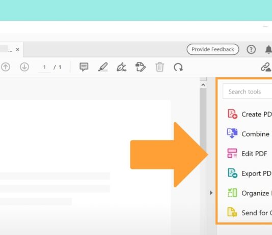 Choosing the Right PDF Viewer: A Comparative Analysis Choosing the Right PDF Viewer A Comparative Analysis