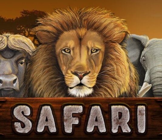 Jungle Safari Slot: A Wild Reel Expedition