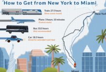 Booking Your Miami to NY Trip