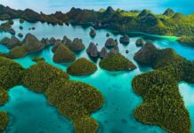 Where the Sea Glows: Nature and Heritage Across Raja Ampat