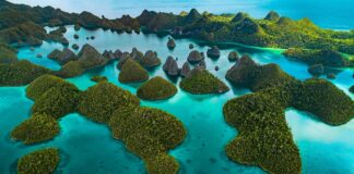 Where the Sea Glows: Nature and Heritage Across Raja Ampat